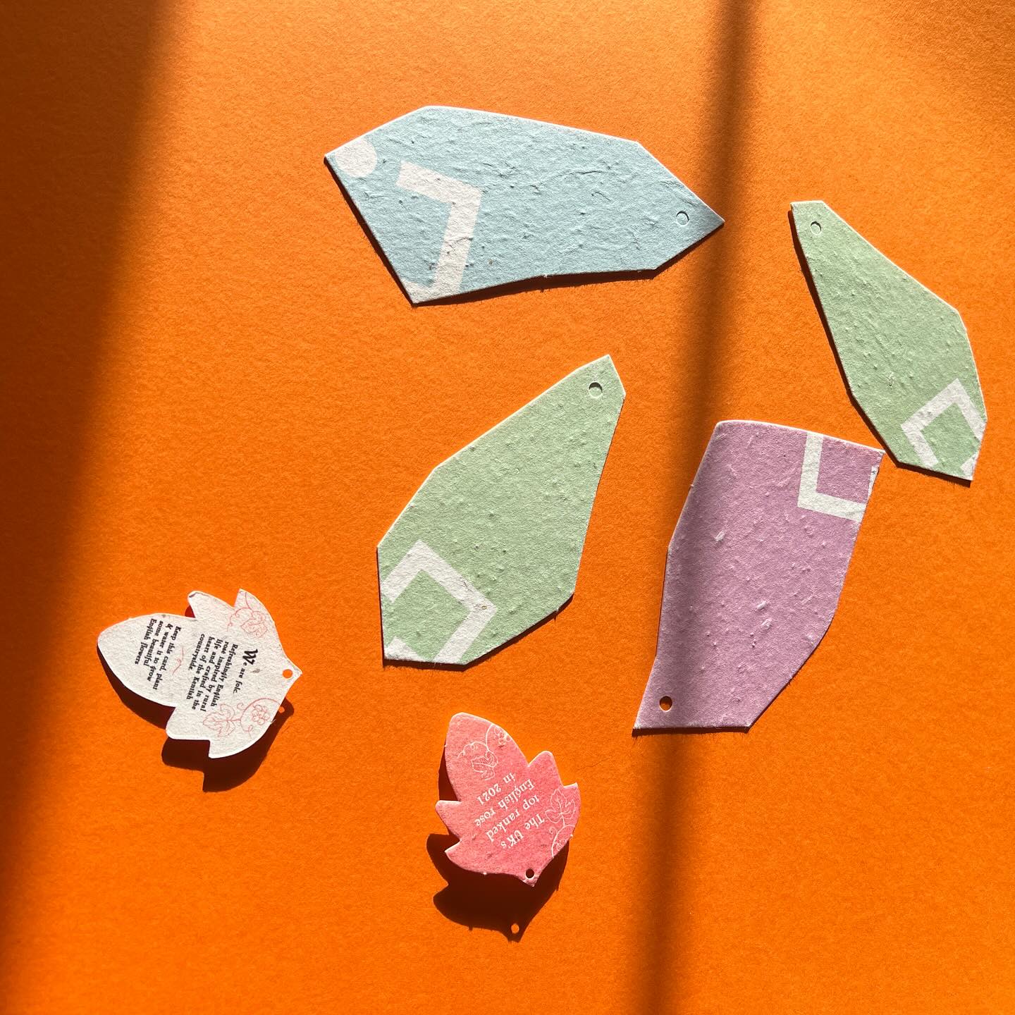 die cut to shape seeded paper printed